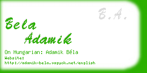 bela adamik business card